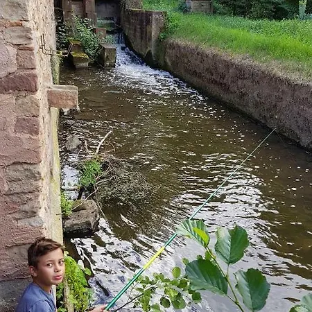 Le Moulin De Bed & Breakfast